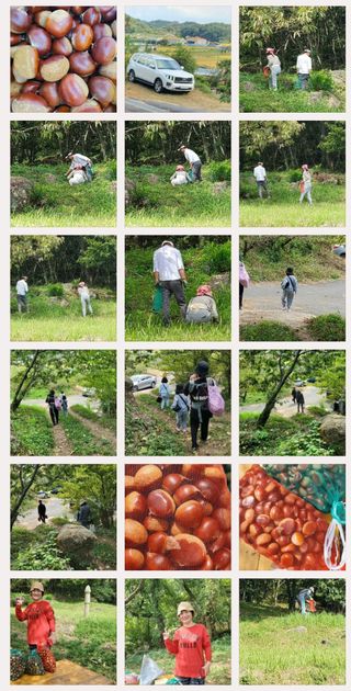 권혜전님의 자유주제 · 자유게시판 작성글 사진