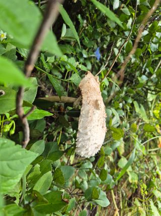 담디농원님의 자유주제 · 자유게시판 작성글 사진