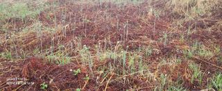 권혜전님의 자유주제 · 자유게시판 작성글 사진