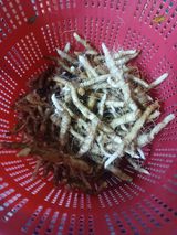 팜모닝 자유주제·자유게시판 게시글 이미지