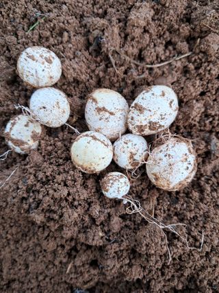 bpjh9173님의 자유주제 · 자유게시판 작성글 사진