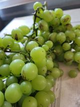 팜모닝 자유주제·자유게시판 게시글 이미지