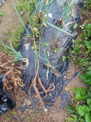 대구 바이오님의 자유주제 · 자유게시판 작성글 사진