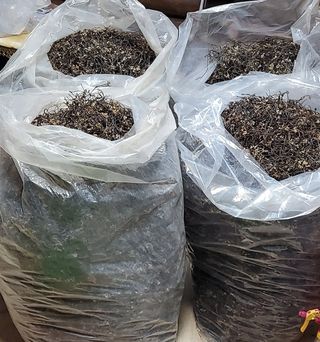 권혜전님의 자유주제 · 자유게시판 작성글 사진