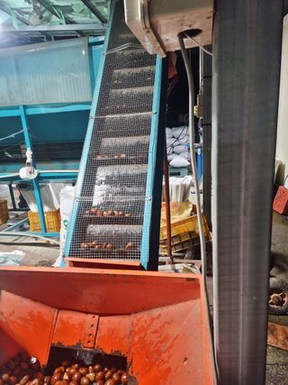 독고다이님의 작성글 사진