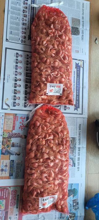 살구15128님의 작성글 사진