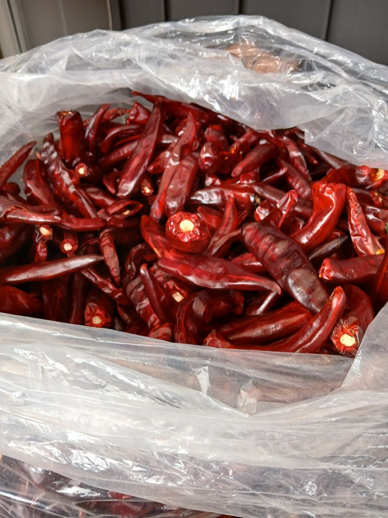 이정민님의 장터 판매 상품 [고추] 첨부 사진