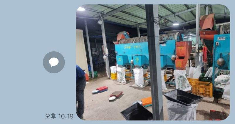 독고다이님의 장터 판매 상품 [햇밤] 첨부 사진