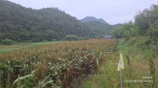 정권옥님의 자유주제 · 자유게시판 작성글 사진