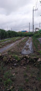 팜모닝 자유주제·자유게시판 게시글 이미지