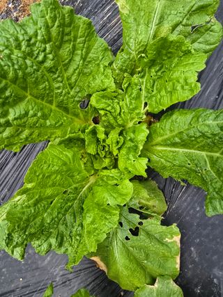 이태희님의 자유주제 · 자유게시판 작성글 사진