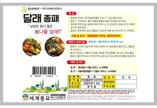 주주씨앗님의 장터 판매 상품 [달래종패 400립 달래씨앗 달래씨 달래종자] 첨부 사진