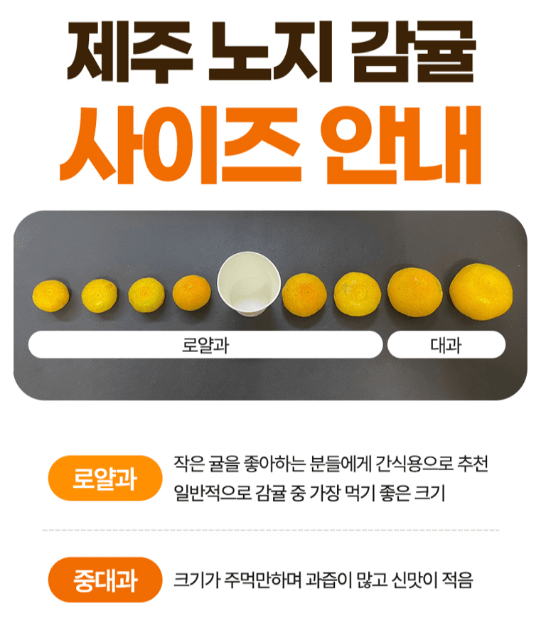 스피드번님의 장터 판매 상품 [노지감귤] 첨부 사진