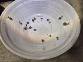 박덕환님의 자유주제 · 자유게시판 작성글 사진