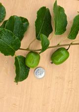 팜모닝 자유주제·자유게시판 게시글 이미지