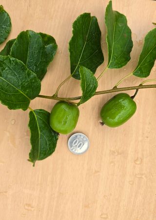 허 동길(길이농장)님의 자유주제 · 자유게시판 작성글 사진