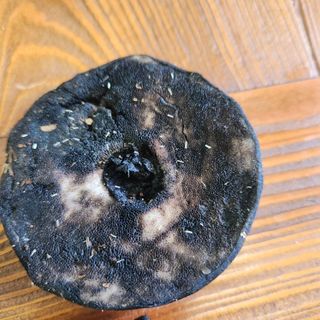 들깨님의 자유주제 · 자유게시판 작성글 사진