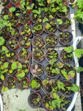 임오빈님의 자유주제 · 자유게시판 작성글 사진