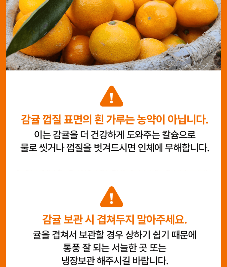 스피드번님의 장터 판매 상품 [노지감귤] 첨부 사진