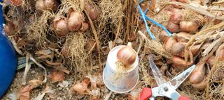 살구15128님의 작성글 사진