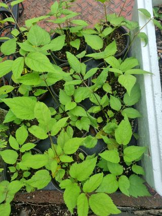 임오빈님의 자유주제 · 자유게시판 작성글 사진