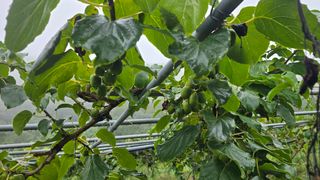 허 동길(길이농장)님의 자유주제 · 자유게시판 작성글 사진