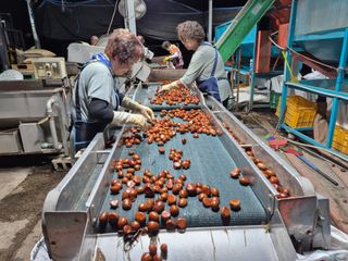 독고다이님의 작성글 사진
