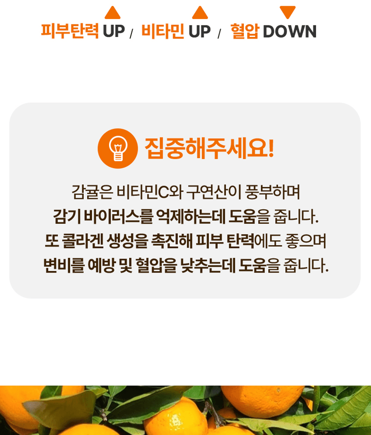 스피드번님의 장터 판매 상품 [노지감귤] 첨부 사진