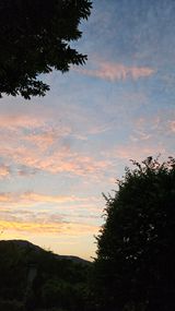 팜모닝 · 게시글 이미지