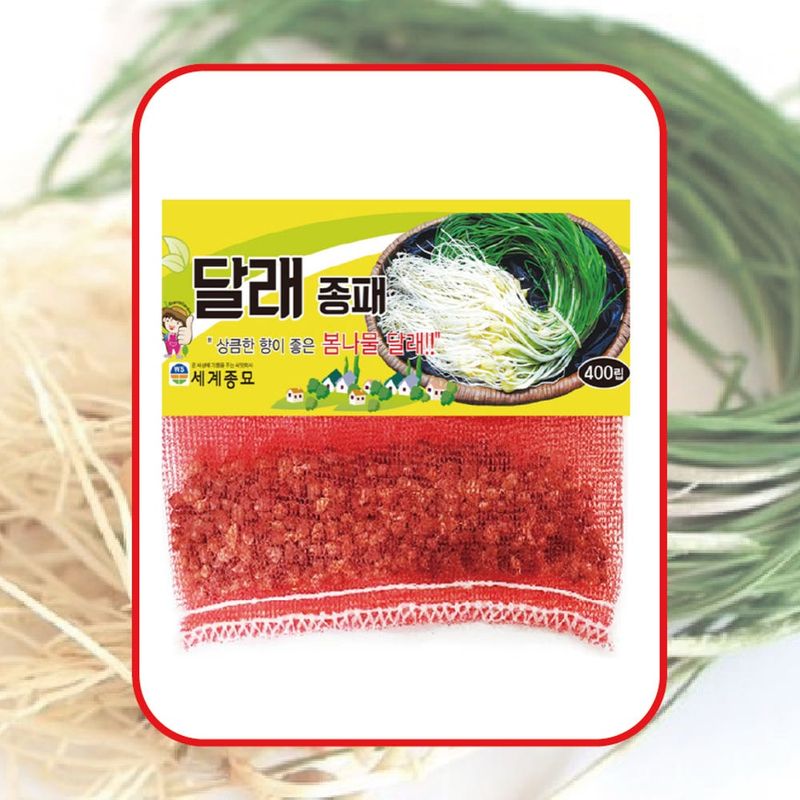 장터 상품 [달래종패 400립 달래씨앗 달래씨 달래종자] 썸네일