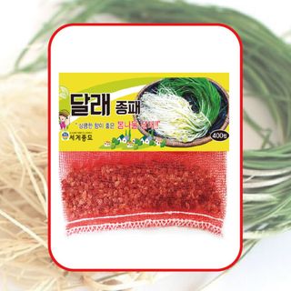 주주씨앗님의 작성글 사진