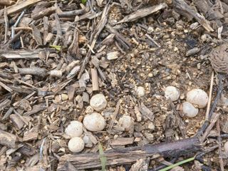 금동이네님의 자유주제 · 자유게시판 작성글 사진