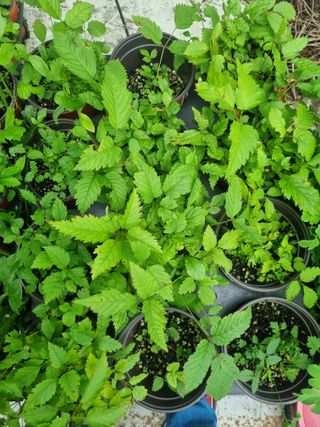 임오빈님의 자유주제 · 자유게시판 작성글 사진