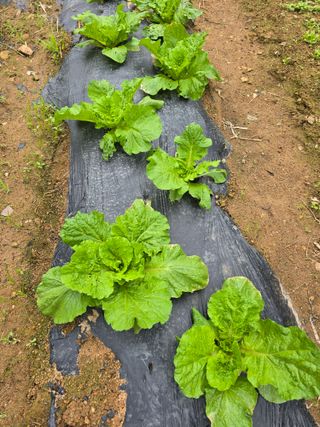 이태희님의 자유주제 · 자유게시판 작성글 사진