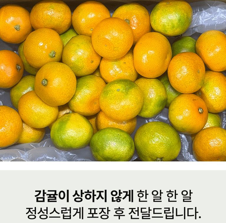 스피드번님의 장터 판매 상품 [노지감귤] 첨부 사진