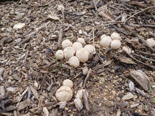 금동이네님의 자유주제 · 자유게시판 작성글 사진