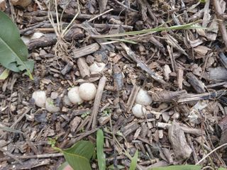 금동이네님의 자유주제 · 자유게시판 작성글 사진