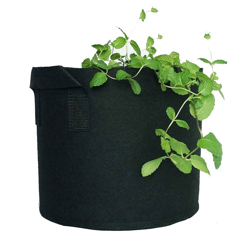 장터 상품 [팜포켓 뿌리가 숨쉬는 부직포 화분 블루베리 각종 채소 ] 썸네일