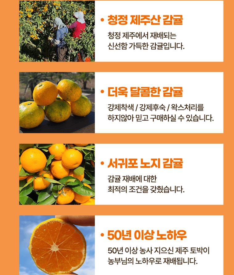 스피드번님의 장터 판매 상품 [노지감귤] 첨부 사진