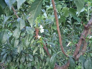 홍순현님의 자유주제 · 자유게시판 작성글 사진