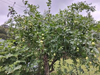 홍순현님의 자유주제 · 자유게시판 작성글 사진