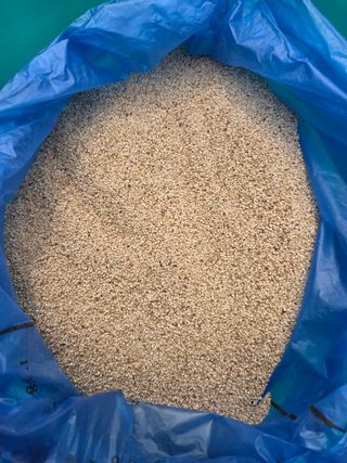 knlee님의 작성글 사진