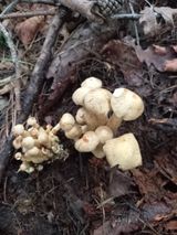 팜모닝 자유주제·자유게시판 게시글 이미지