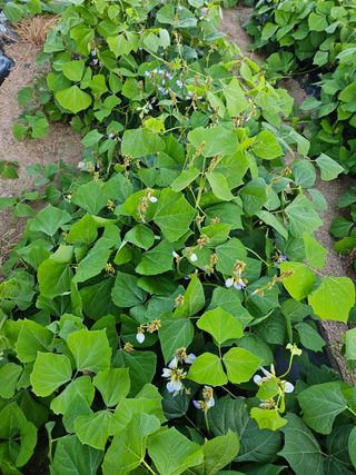 팝콘님의 자유주제 · 자유게시판 작성글 사진