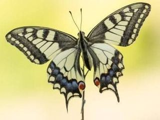 안길원님의 자유주제 · 자유게시판 작성글 사진