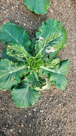 토마토16716님의 자유주제 · 자유게시판 작성글 사진