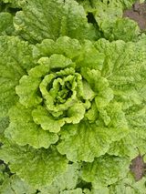 팜모닝 자유주제·자유게시판 게시글 이미지