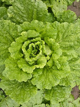 백용기님의 자유주제 · 자유게시판 작성글 사진