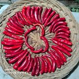 팜모닝 자유주제·자유게시판 게시글 이미지