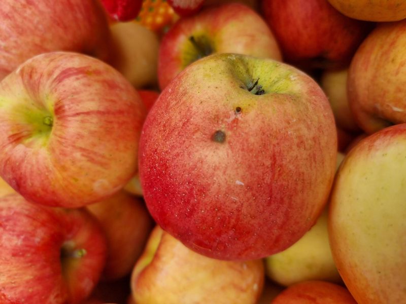 호랑이와인성이님의 장터 판매 상품 [봉화 사과즙 ] 첨부 사진